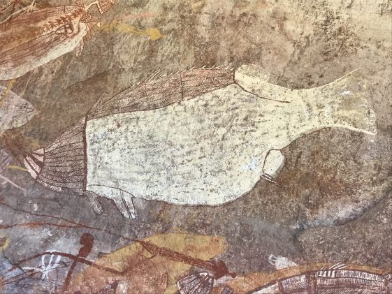 Airborne Solutions Kakadu Day Trip