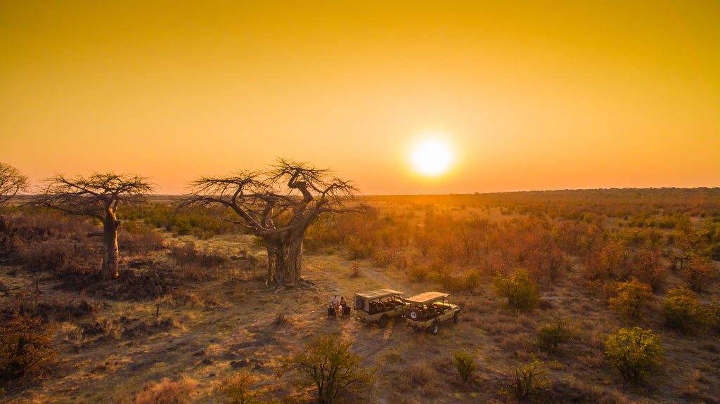 High Tea and Sunset Game Drive