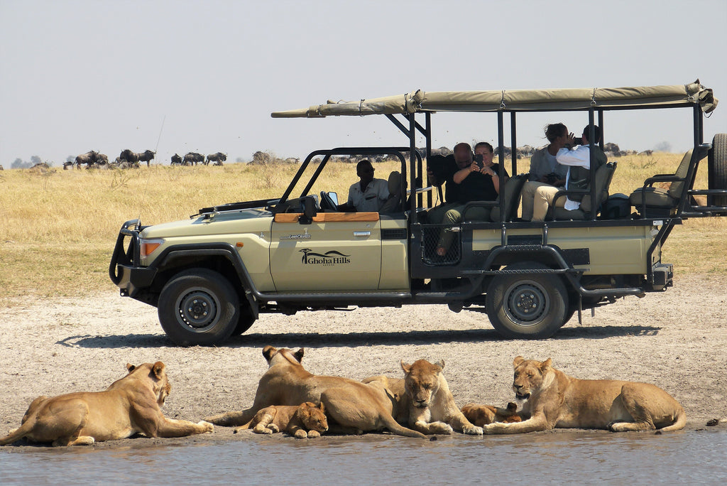 Savuti Marsh Excursion (Minimum 2-night stay)