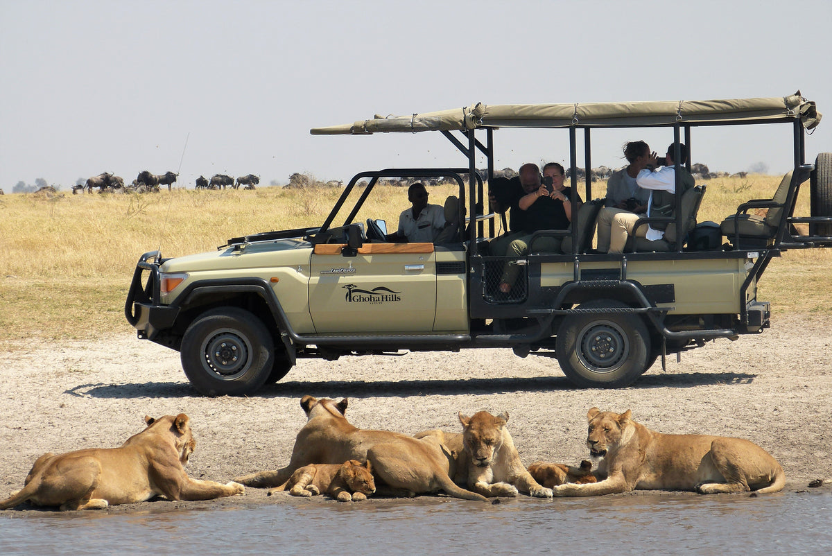Savuti Marsh Excursion (Minimum 2-night stay)