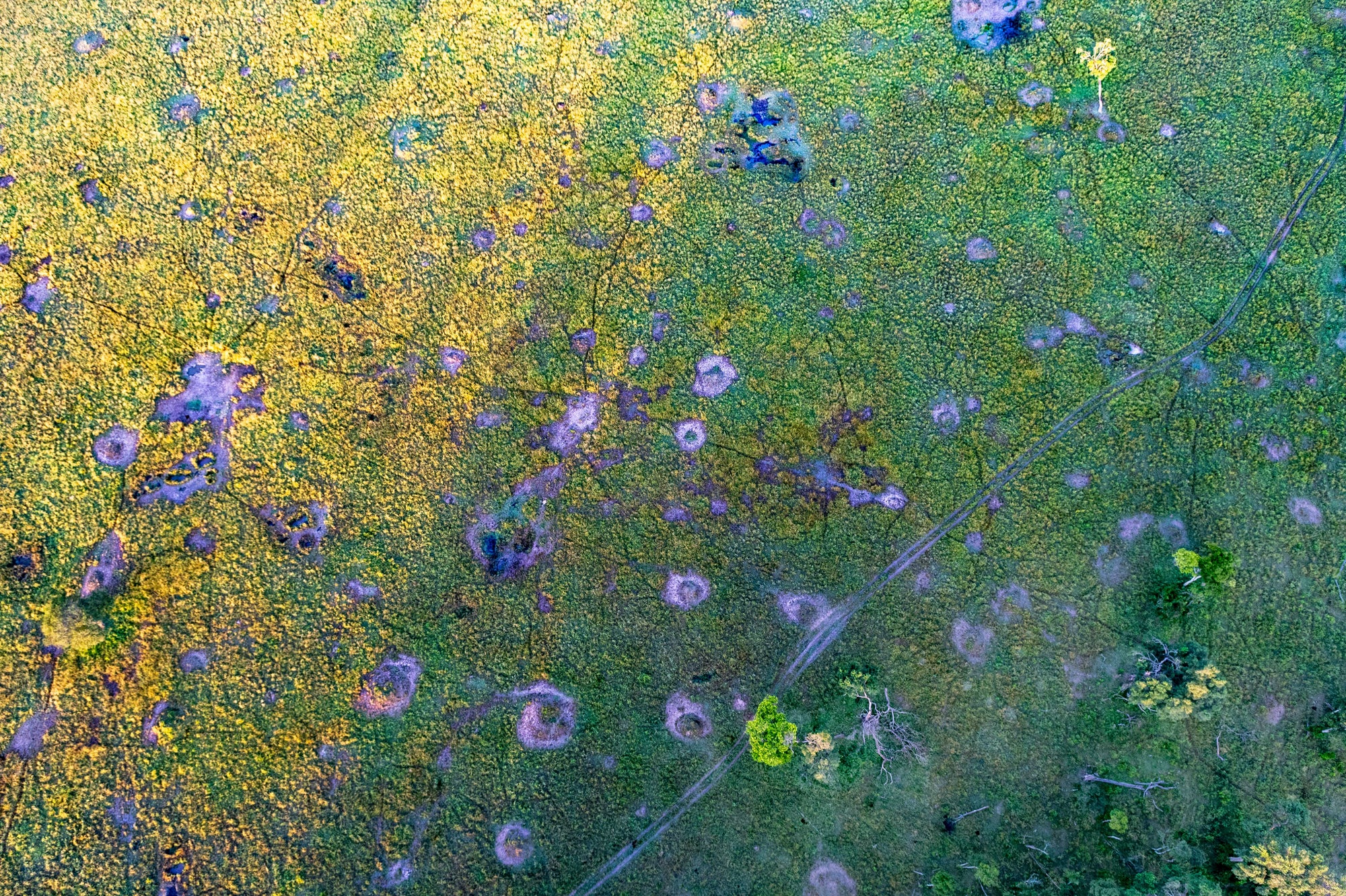 Governors' Balloon Safaris