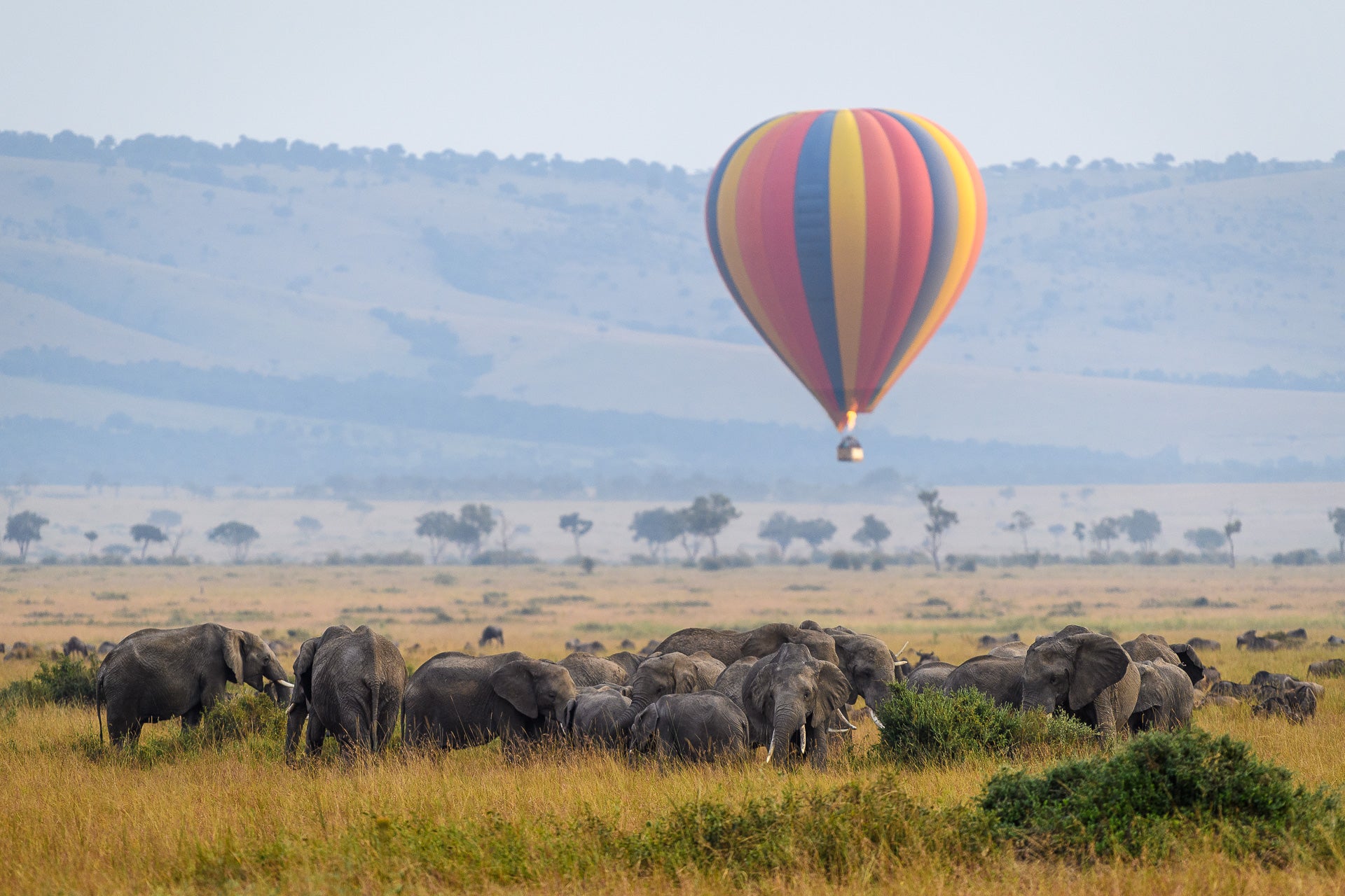 Governors' Balloon Safaris