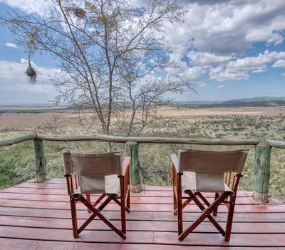 Safari Room
