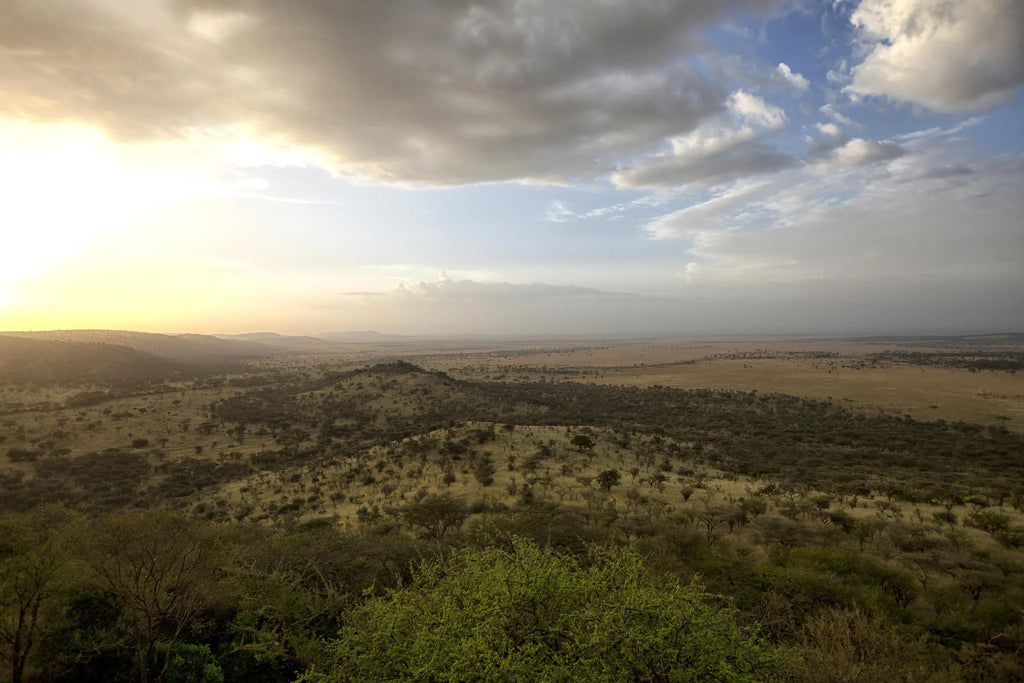 Mbali Mbali Soroi Serengeti at Mbali Mbali Soroi Serengeti, Central Serengeti, Tanzania.