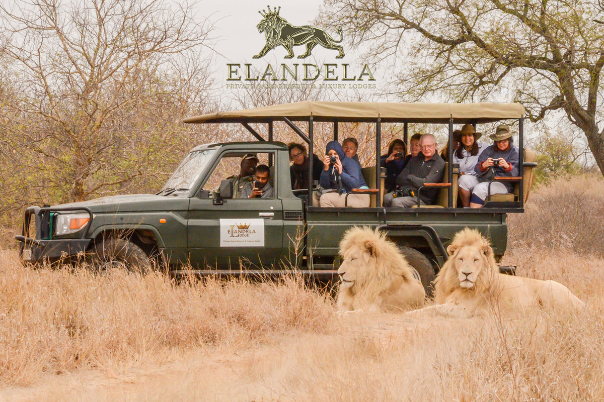 Elandela Private Game Lodge