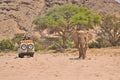 Damaraland Elephant Explorer (guided)
