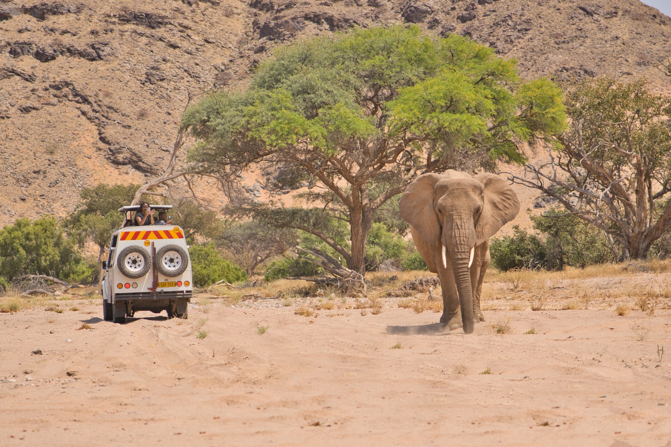 Damaraland Elephant Explorer (guided)