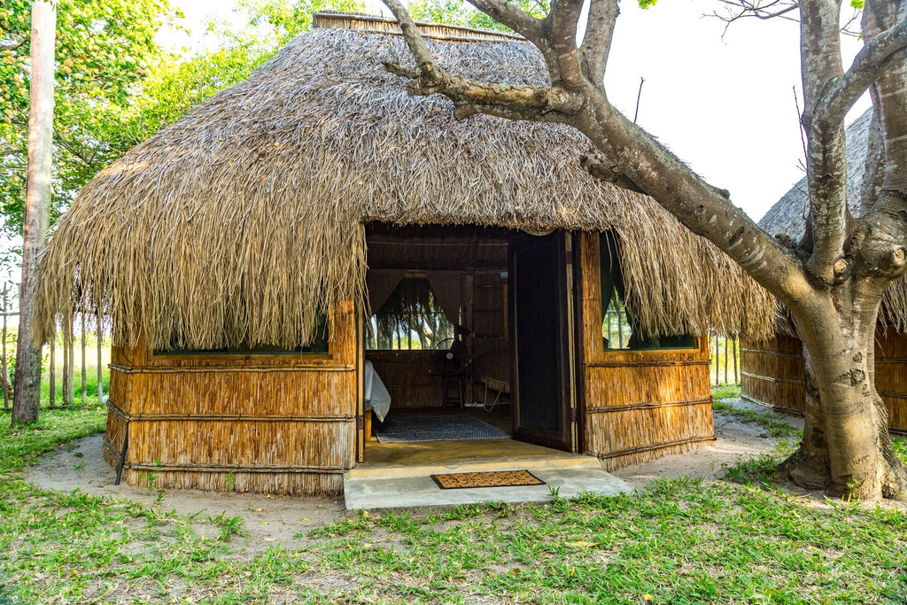 Manico Camp