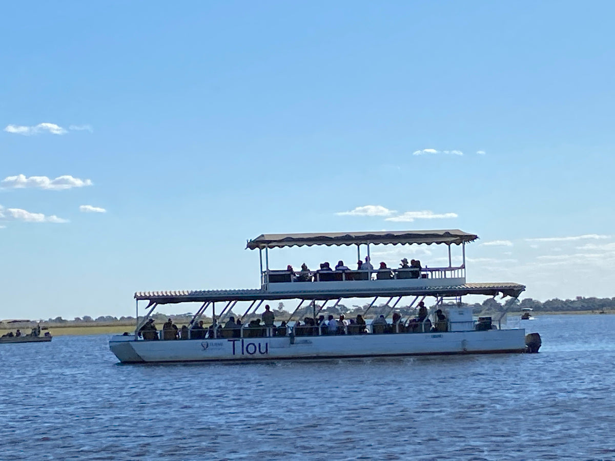 Flame of Africa 3-hour Chobe River Cruise