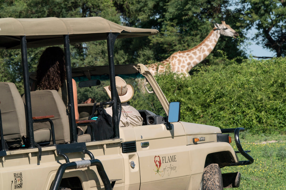 Flame of Africa Chobe 4x4 Game Drive