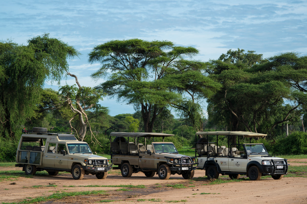 Flame of Africa Breakfast Game Drive