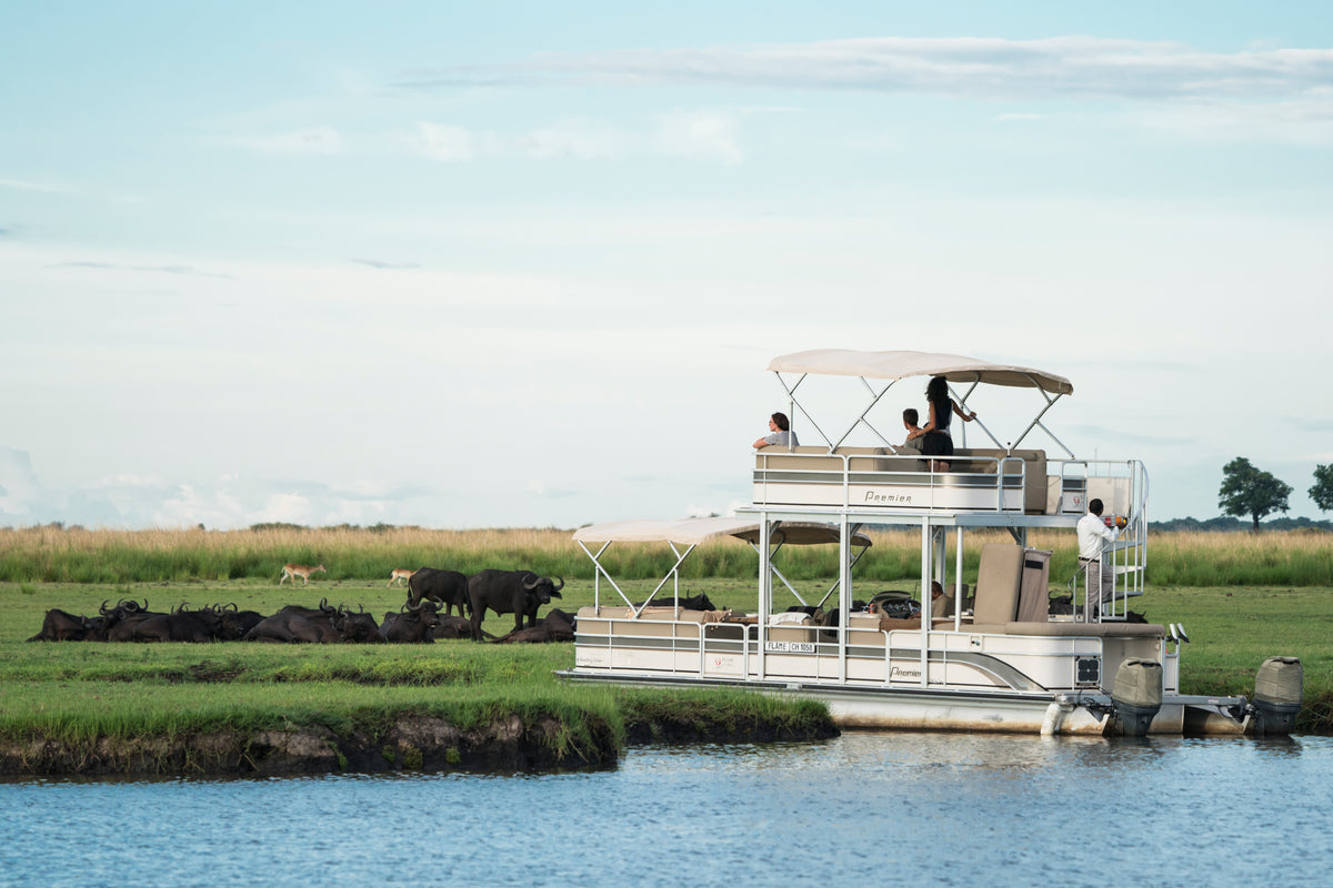 Flame of Africa Luxury 3-hour Cruise