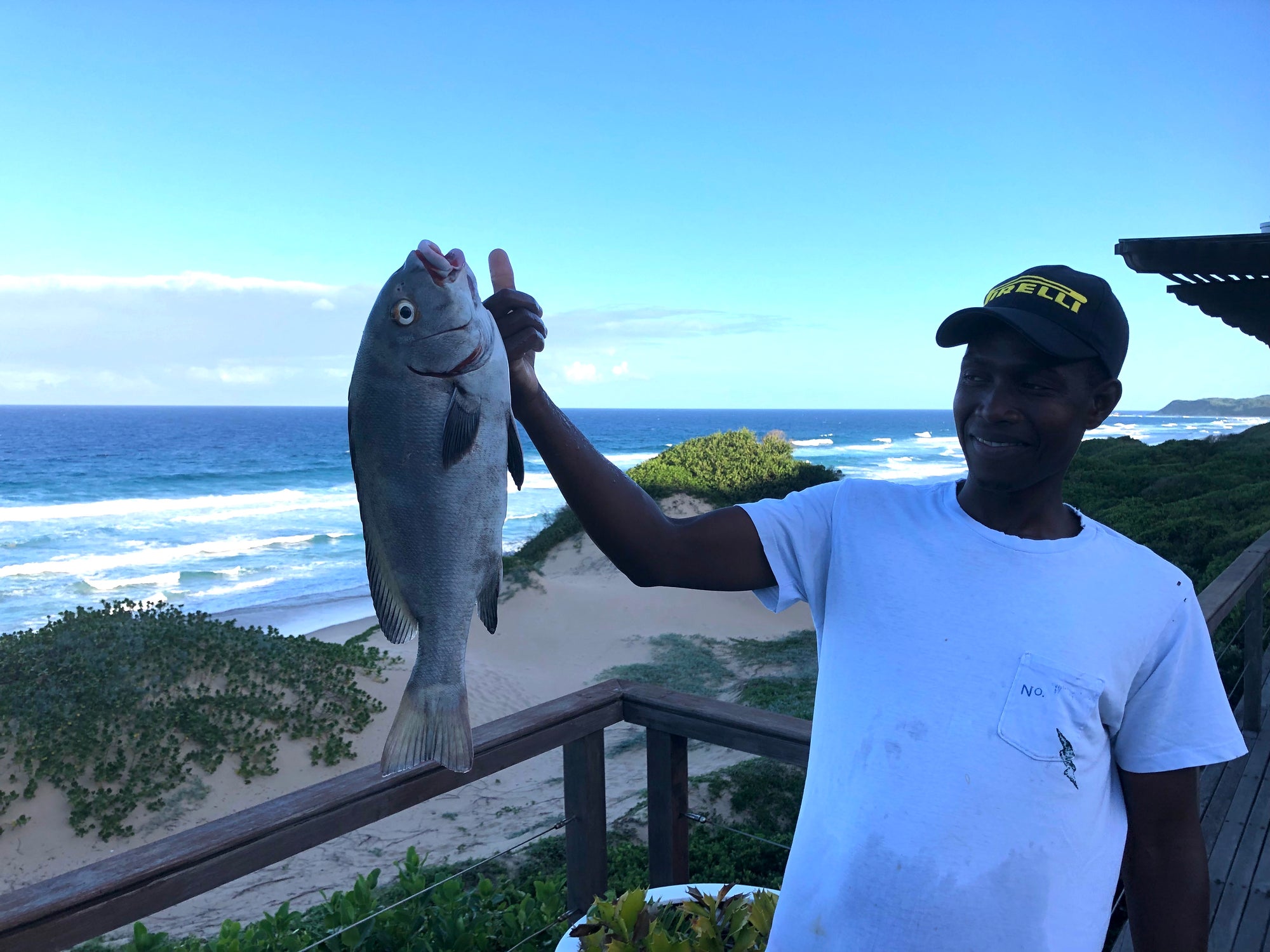 Dinner catch