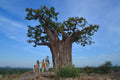 Game walks in the 'land of giants'