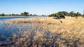 Game Drives.