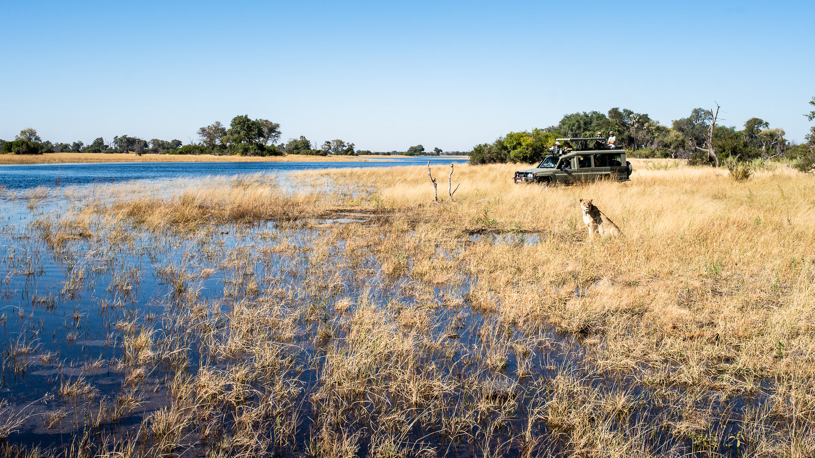 Kweene River Camp — Game Drives.
