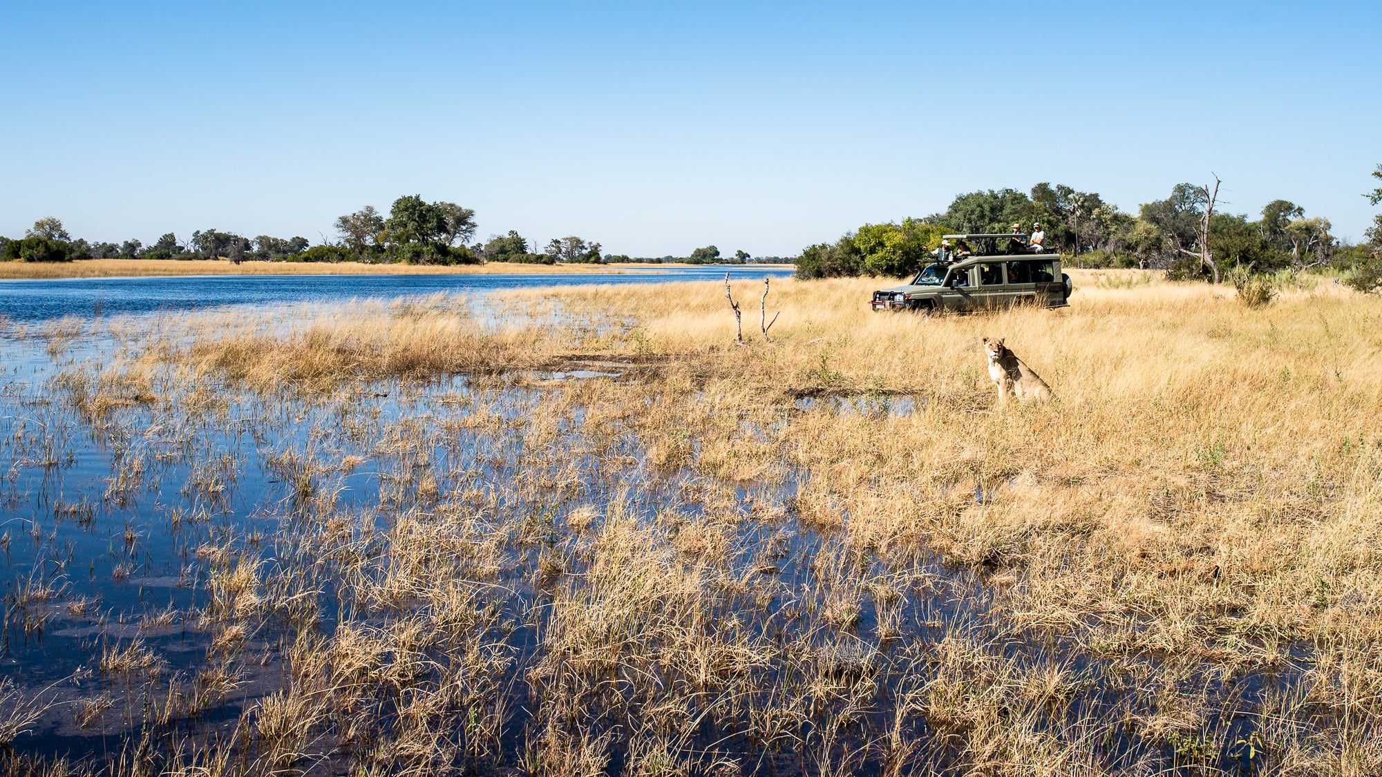 Game Drives.