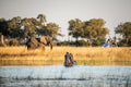 Mokoro Excursions when water levels permit.