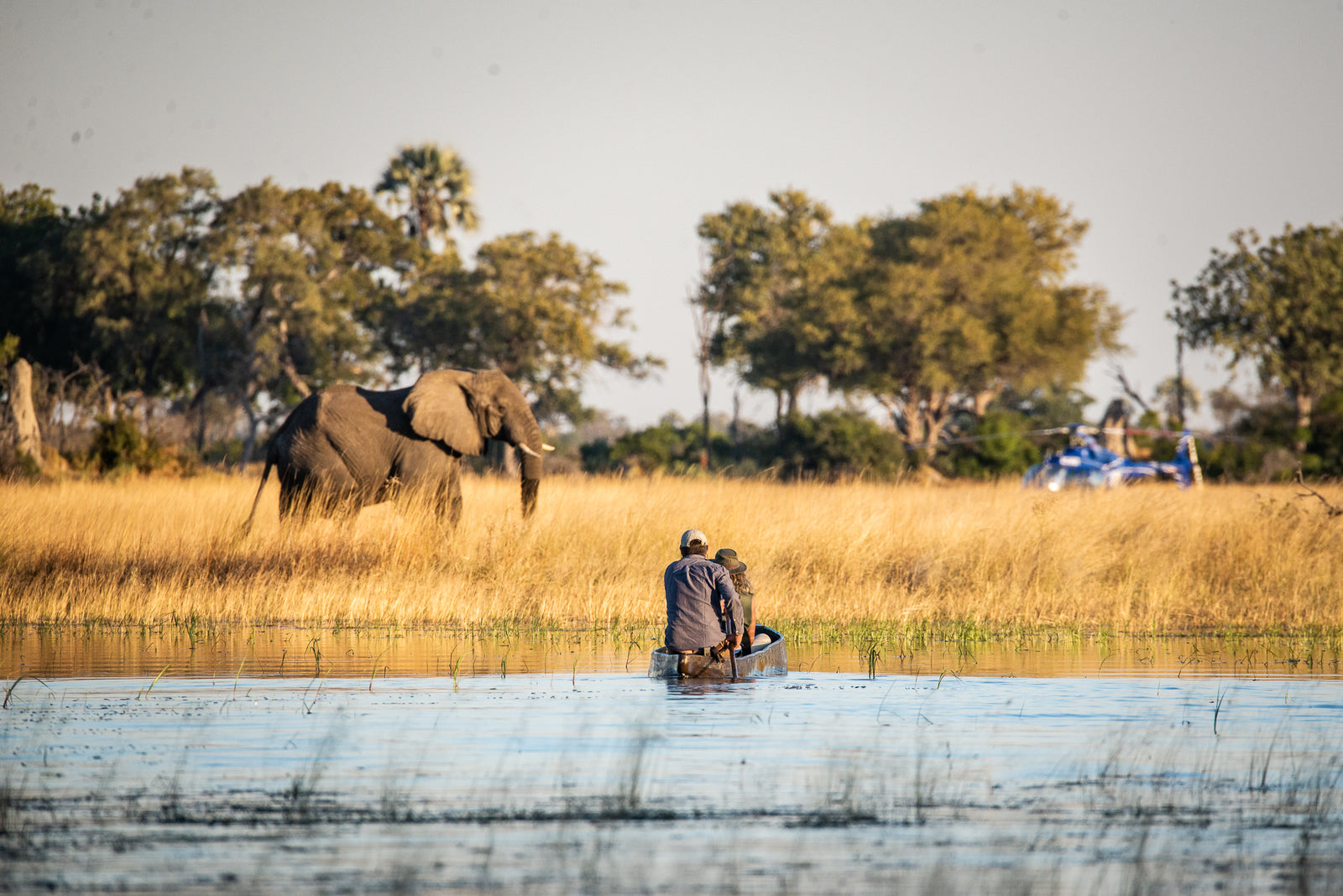 Beagle Expeditions - Kweene Trails — Mokoro Excursions when water levels permit.