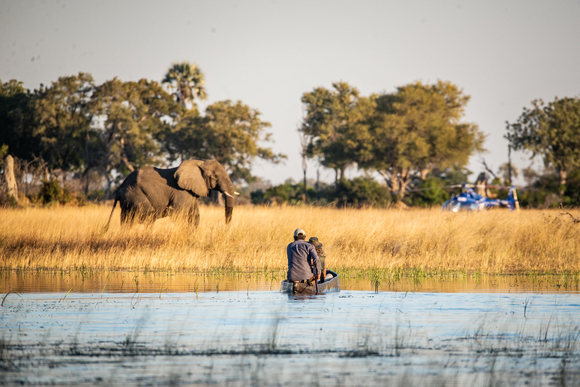 Mokoro Excursions when water levels permit.