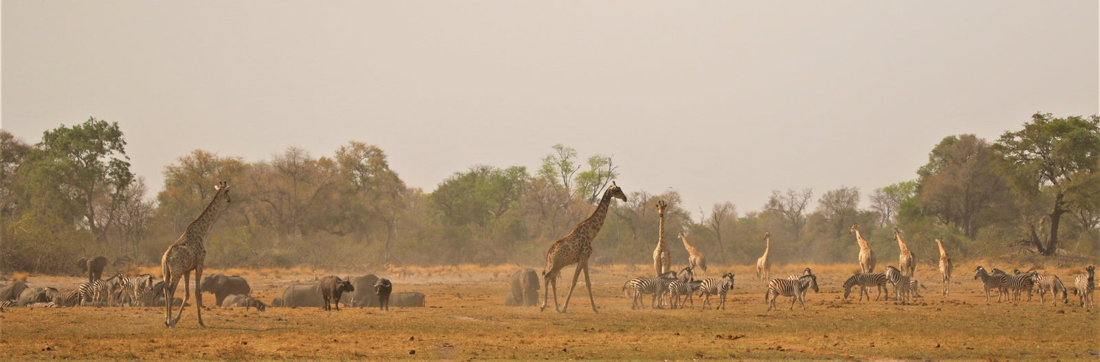 Kweene River Camp — Full Day Journey through the Wilderness