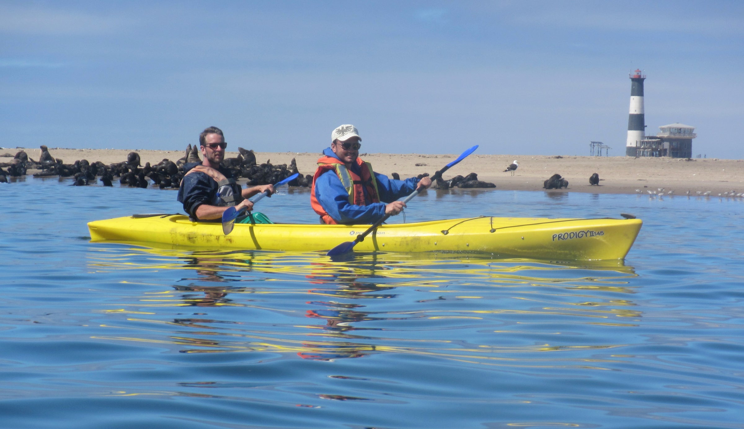 Pelican Point Kayaking