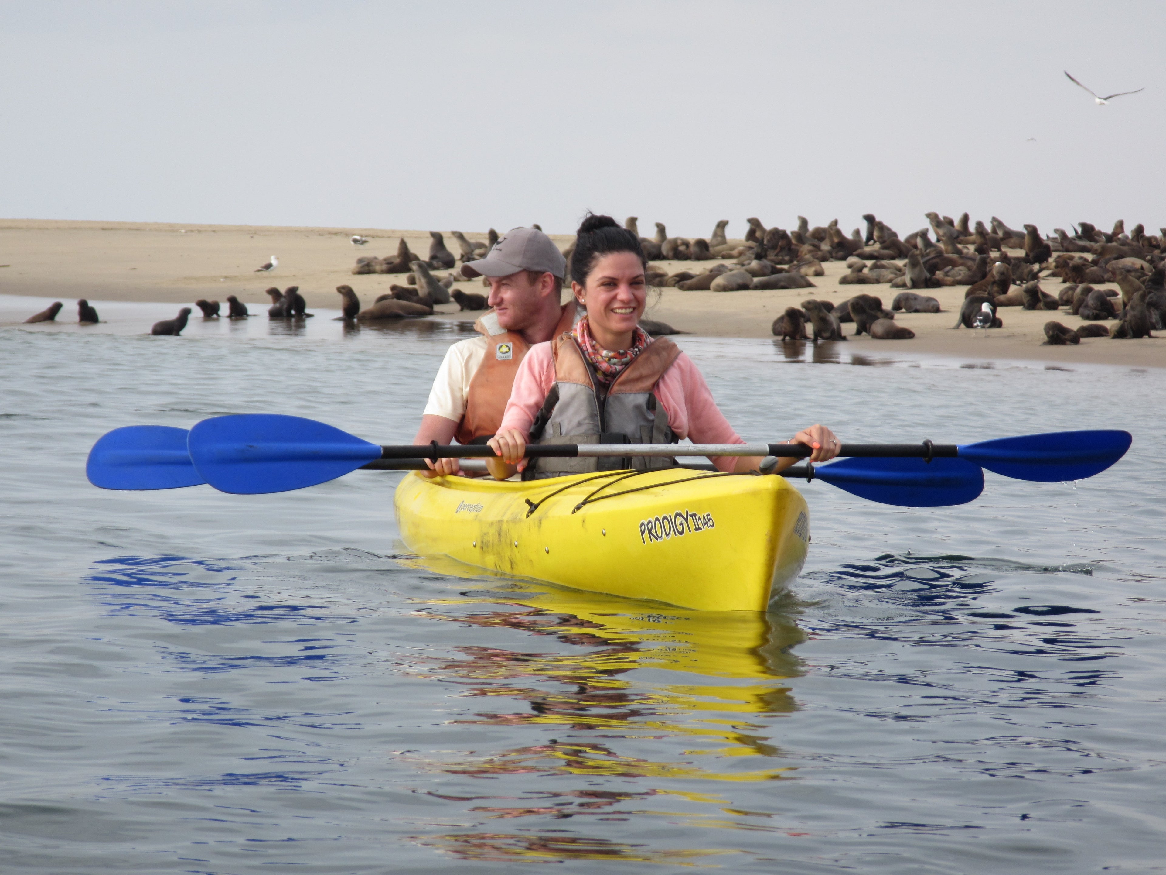 Pelican Point Kayaking 06