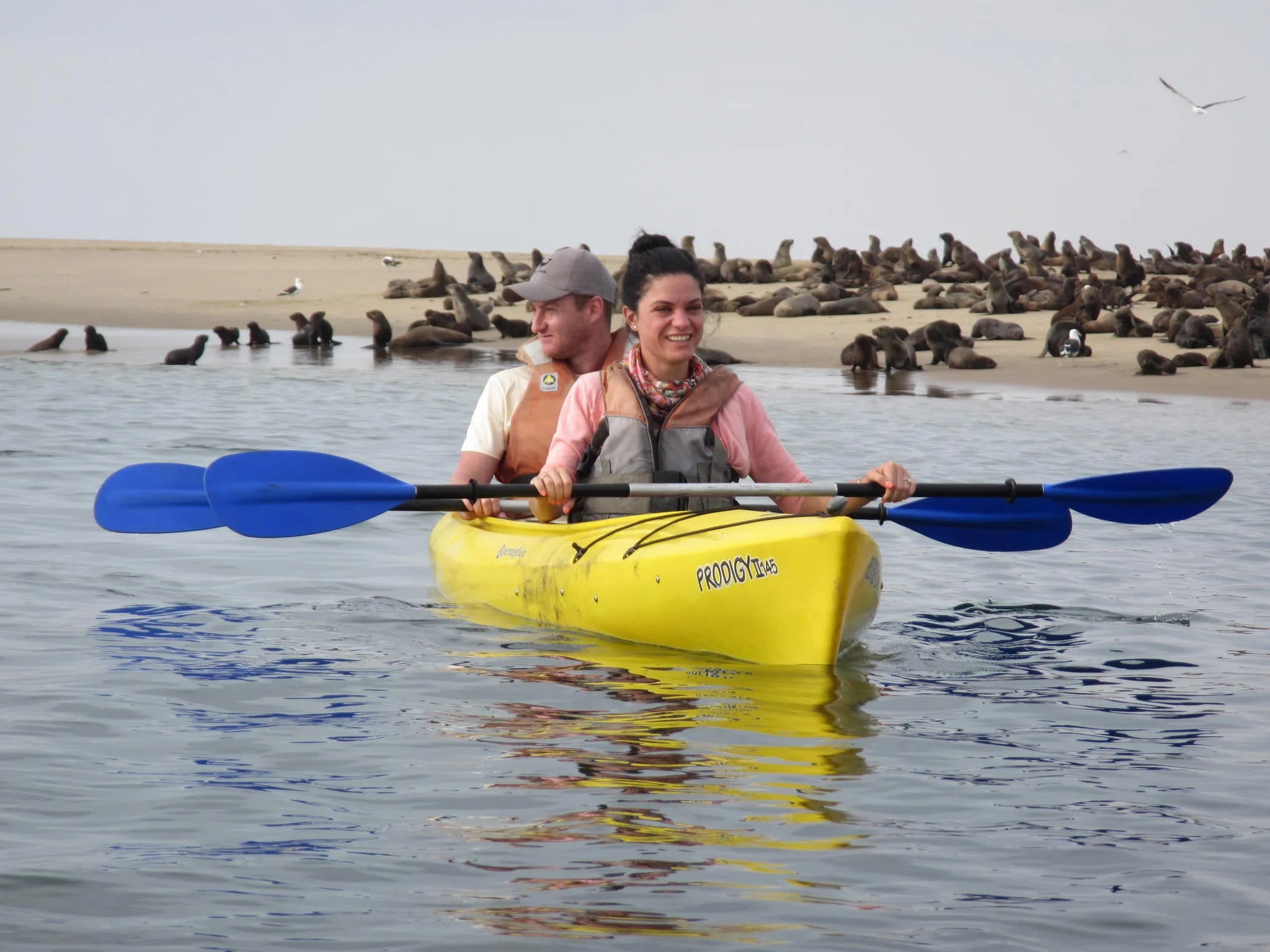 Pelican Point Kayaking 06 at Pelican Point Kayaking, Walvis Bay, Namibia.