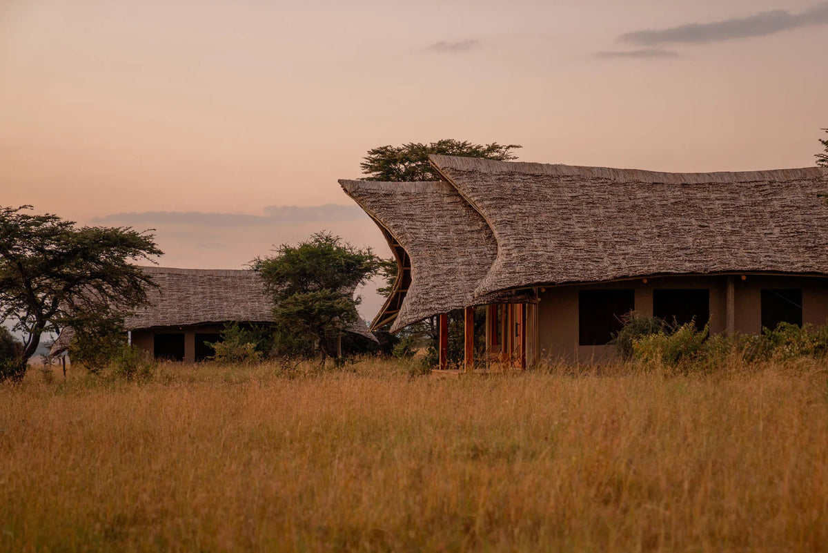 Naboisho Camp - Tent Exteriors at Naboisho, Mara Naboisho Conservancy, Kenya.