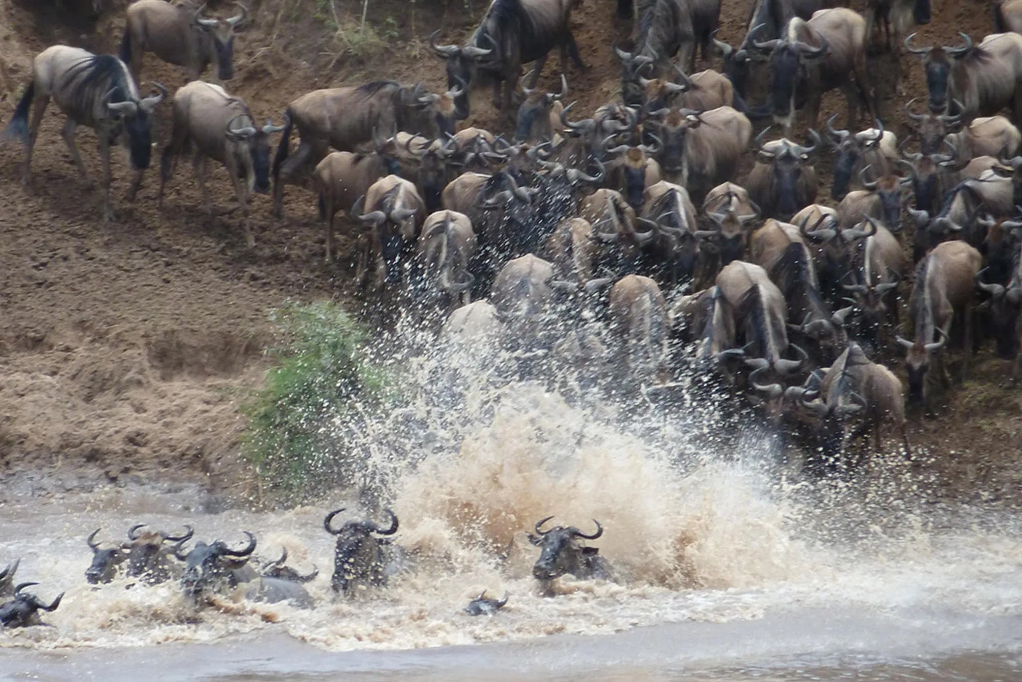 Olakira Camp -The Great Migration river crossing at Olakira Migration Camp - North (Jun - Oct), Northern Serengeti, Tanzania.