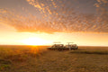 Serengeti sunrise