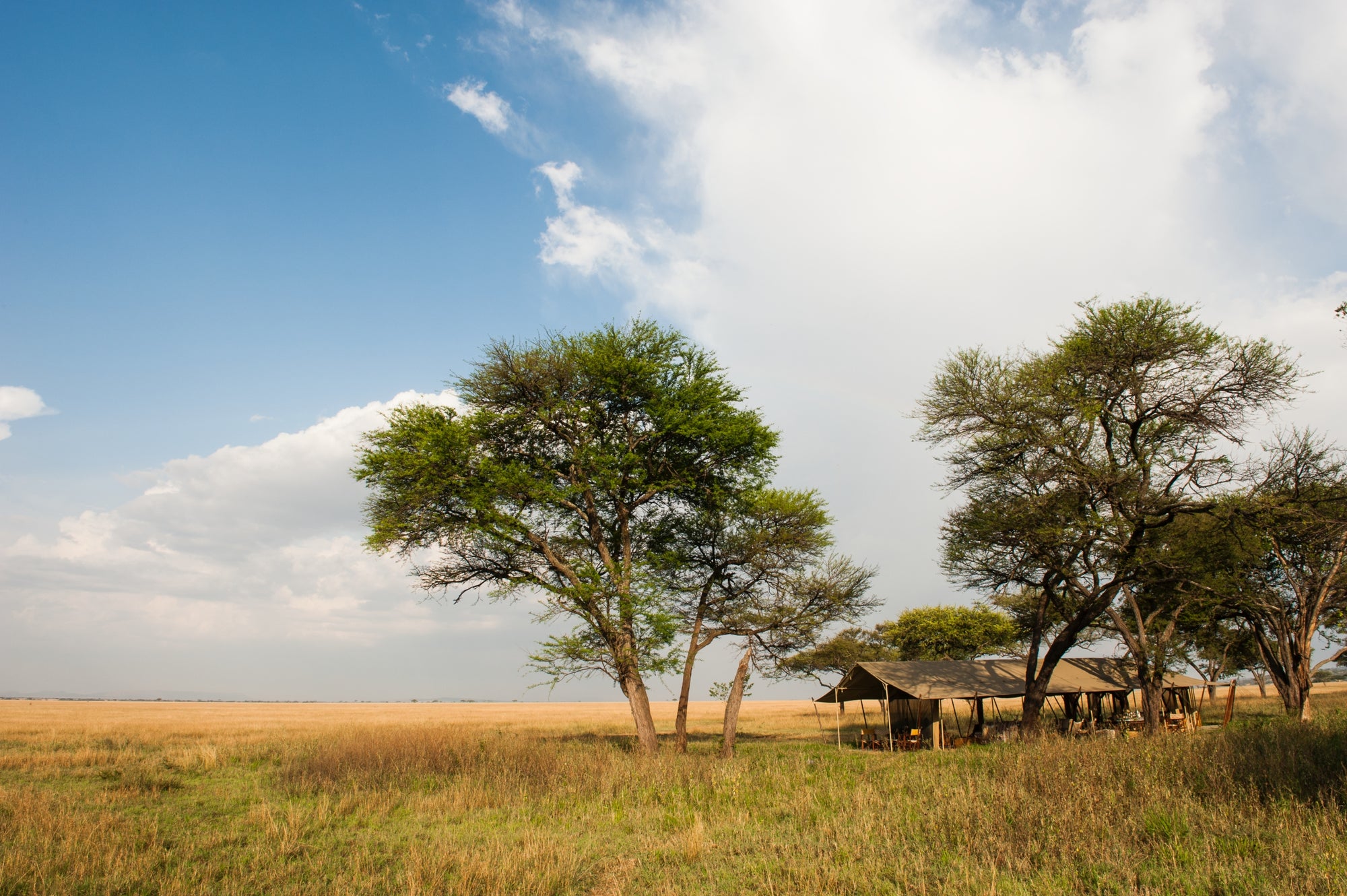 Serengeti Safari Camp