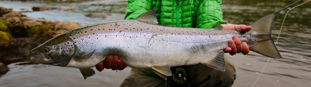 Fishing