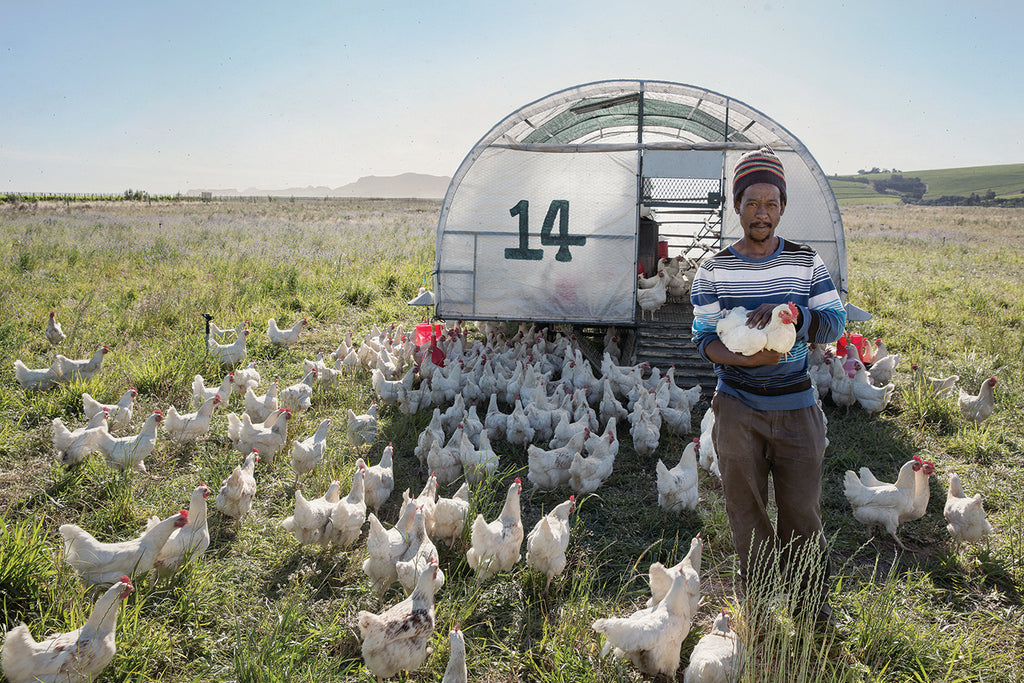 Spier Wine Farm - Farmer Angus Chicken