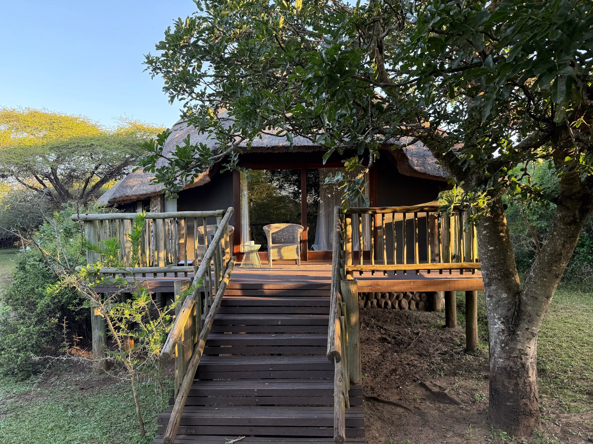 Rhino River Lodge — Deluxe Room 6
