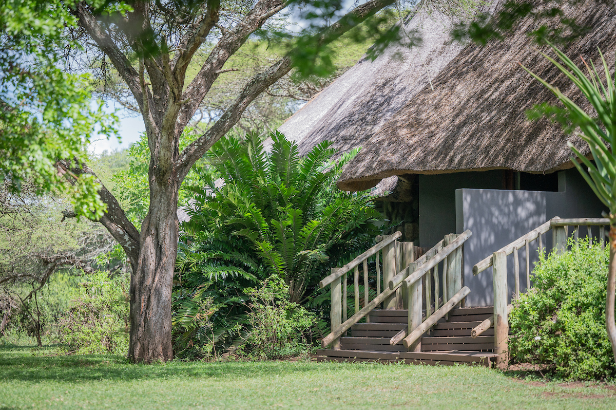 Rhino River Lodge — Deluxe Room 4