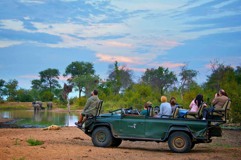 Lions and elephants share a waterhole