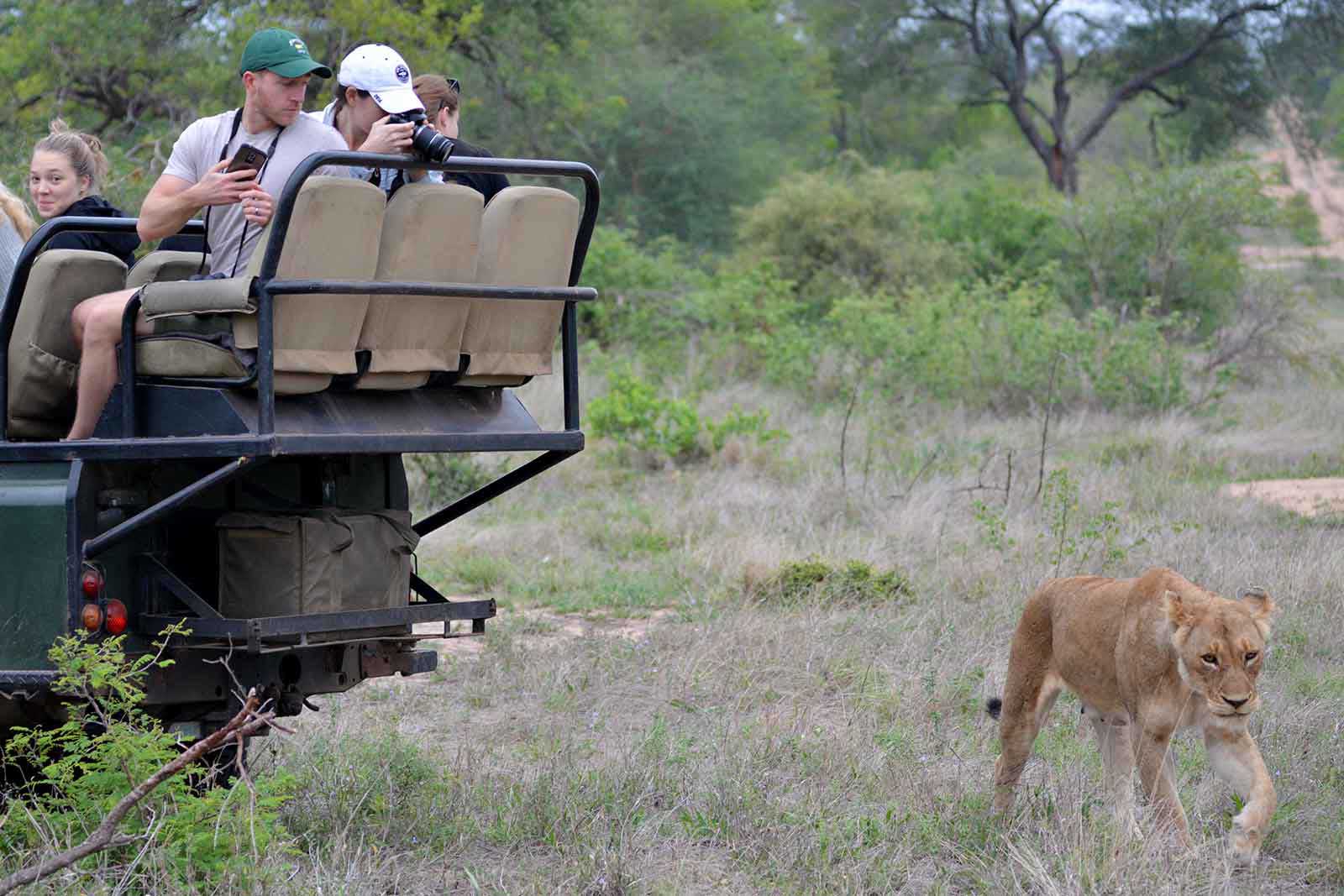 Great wildlife sightings on game drive