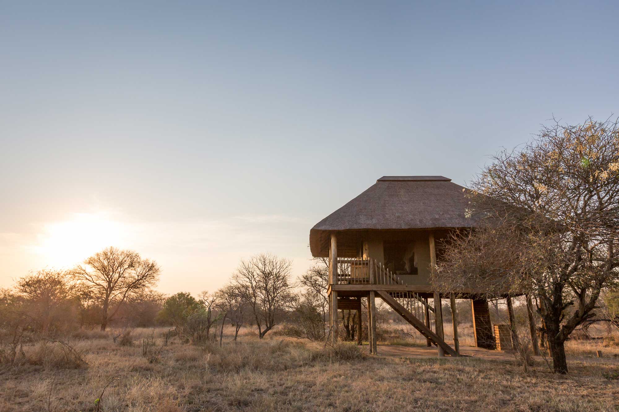 nThambo Tree Camp chalets