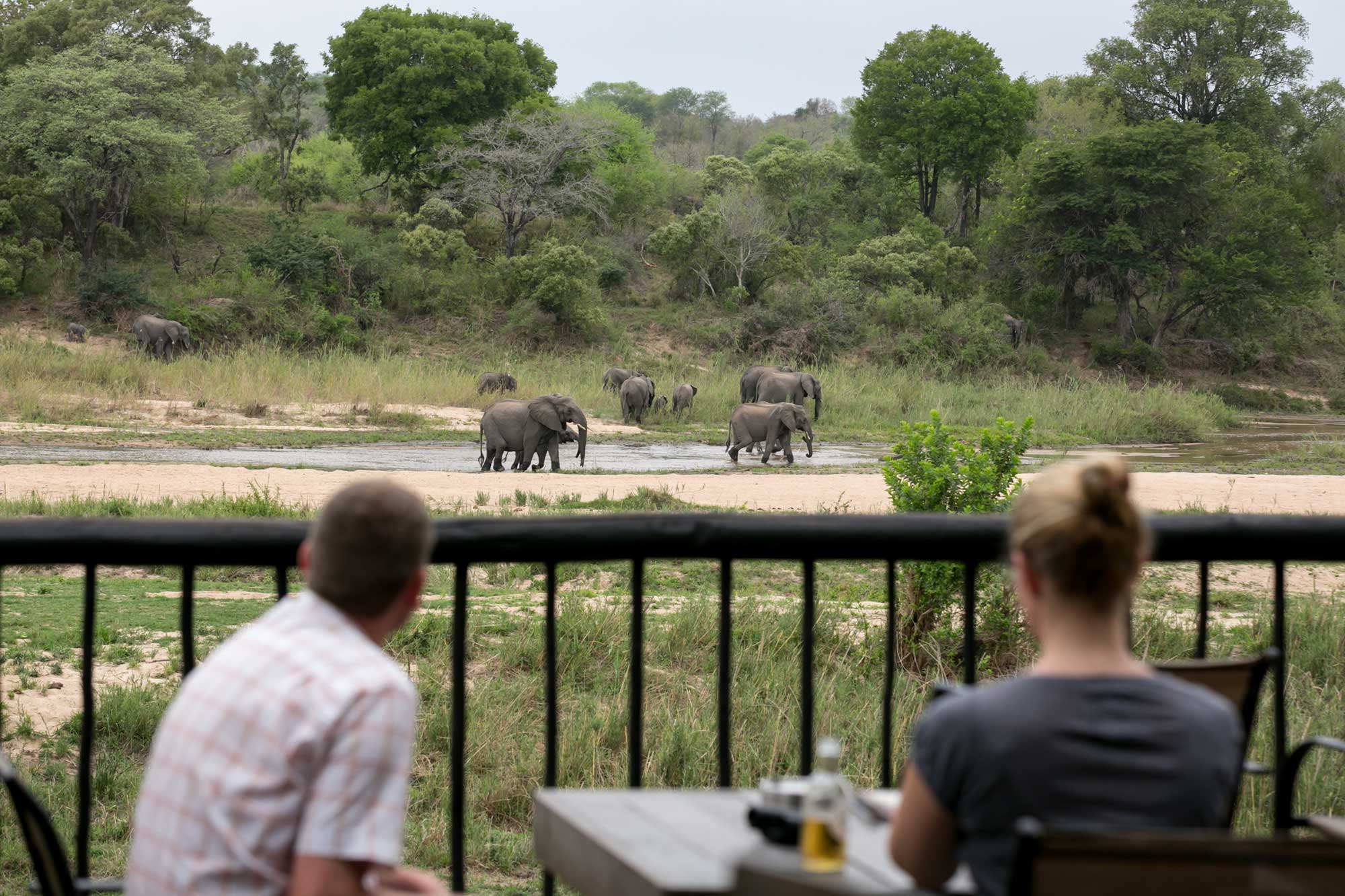 Watching elephants from the deck at Umkumbe