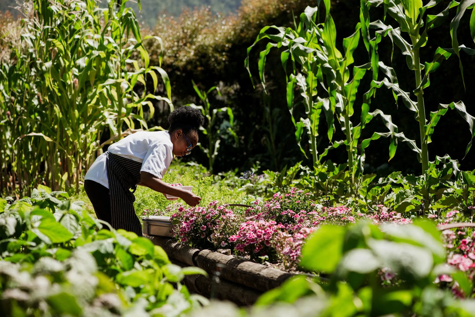 Delaire Graff Estate Organic Vegetable and Herb Garden at Delaire Graff Lodges & Spa, Stellenbosch, South Africa.