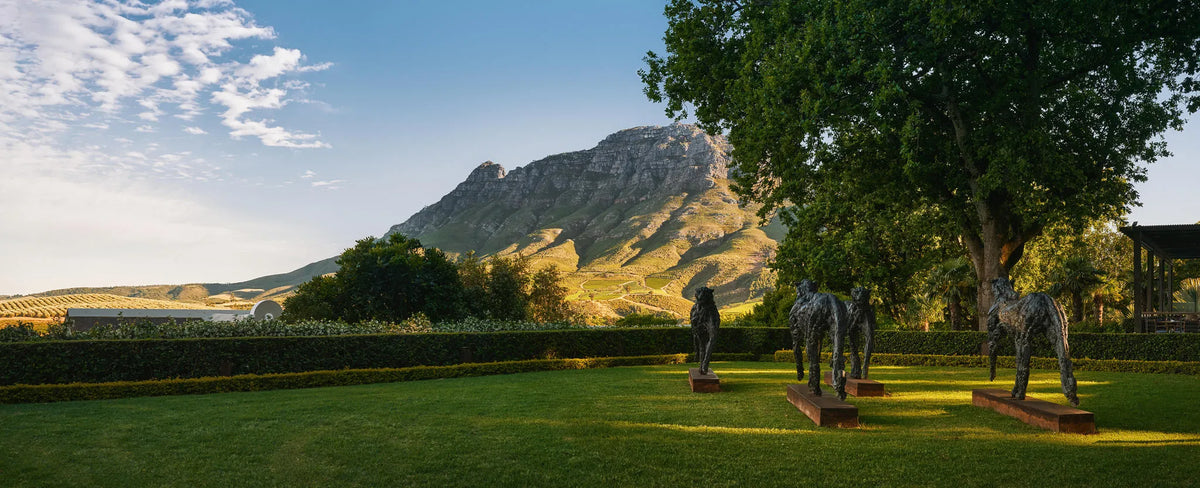 Delaire Graff Estate Art Collection at Delaire Graff Lodges & Spa, Stellenbosch, South Africa.
