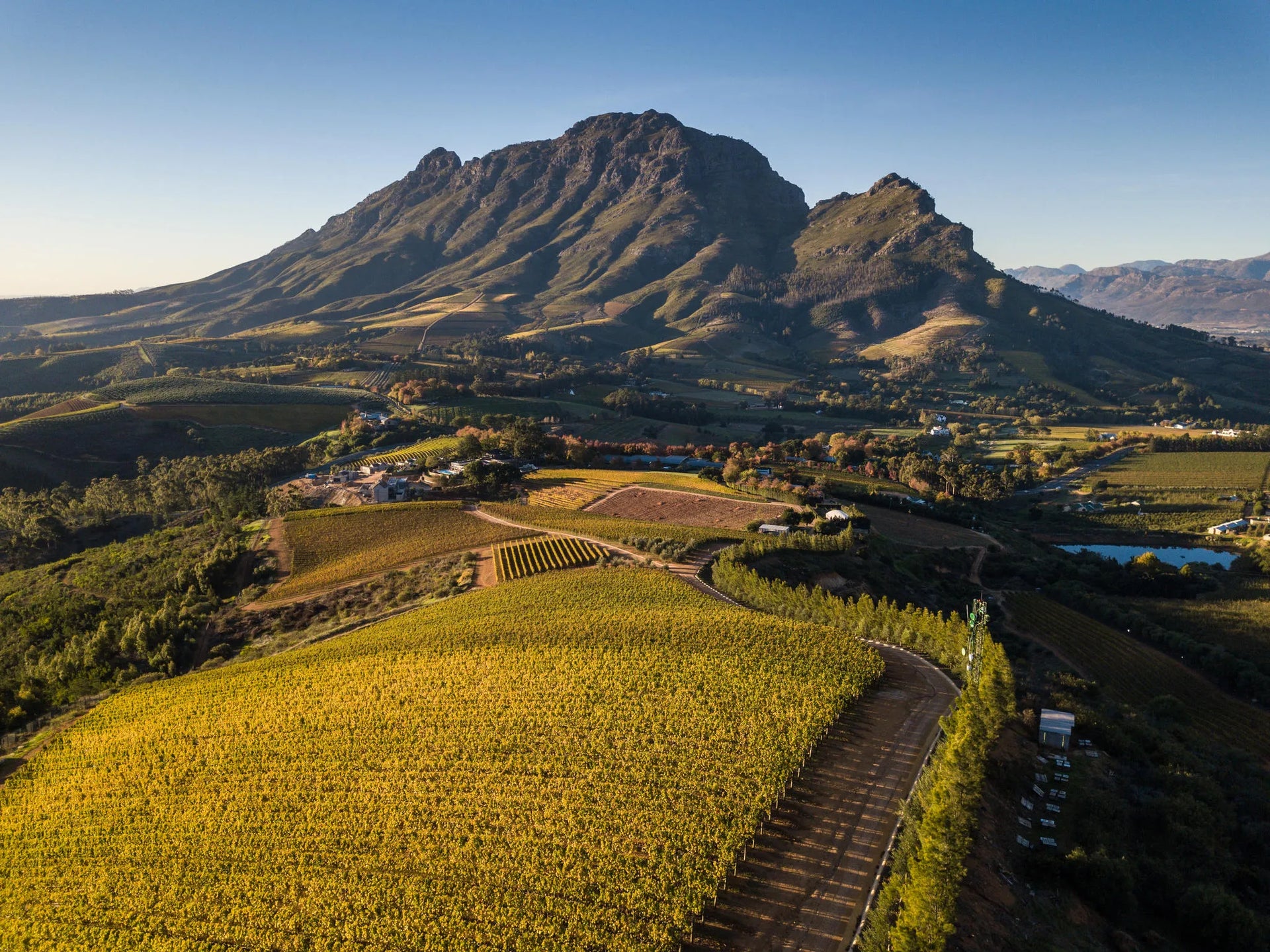 Delaire Graff Estate vineyards at Delaire Graff Lodges & Spa, Stellenbosch, South Africa.