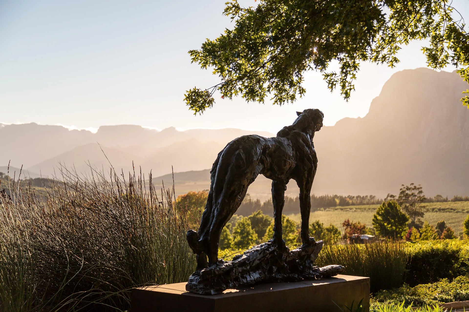 The Jewel of the Cape Winelands at Delaire Graff Lodges & Spa, Stellenbosch, South Africa.