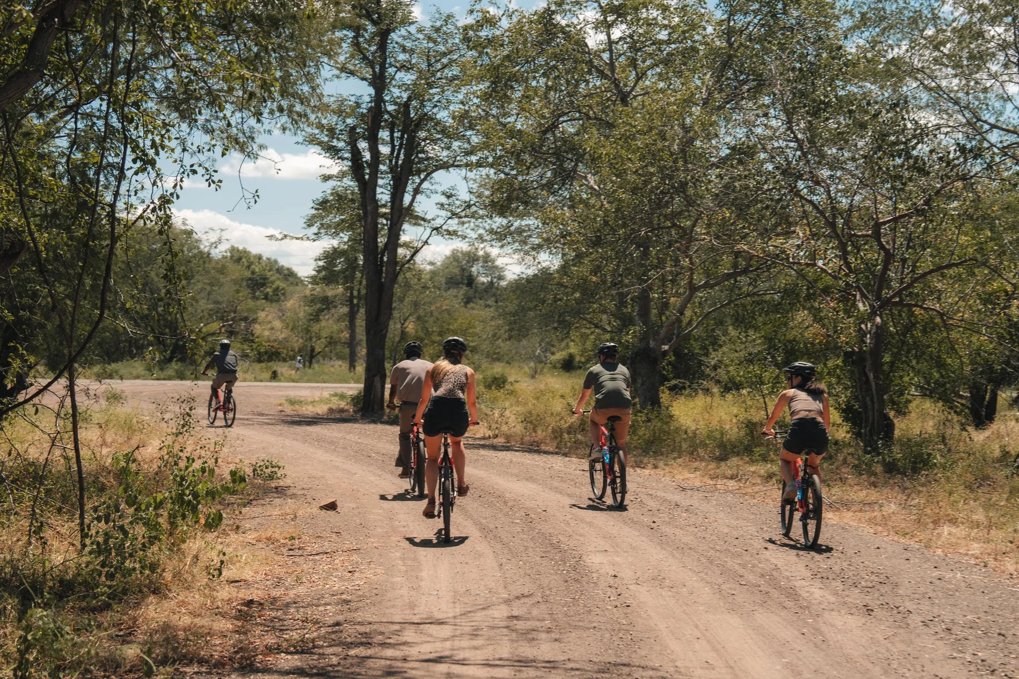 Bicycle Tour
