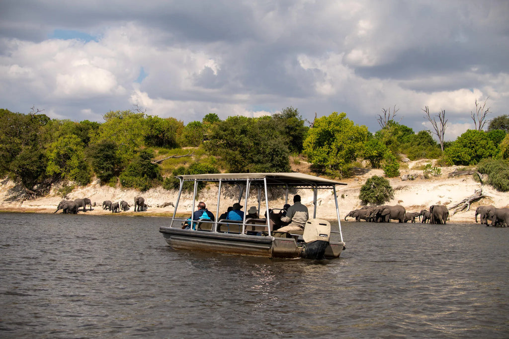 River Safari at Ichingo Chobe River Lodge by Mantis, Impalila Island, Namibia.