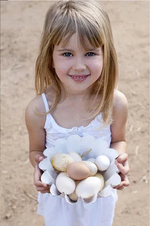 Featured image.