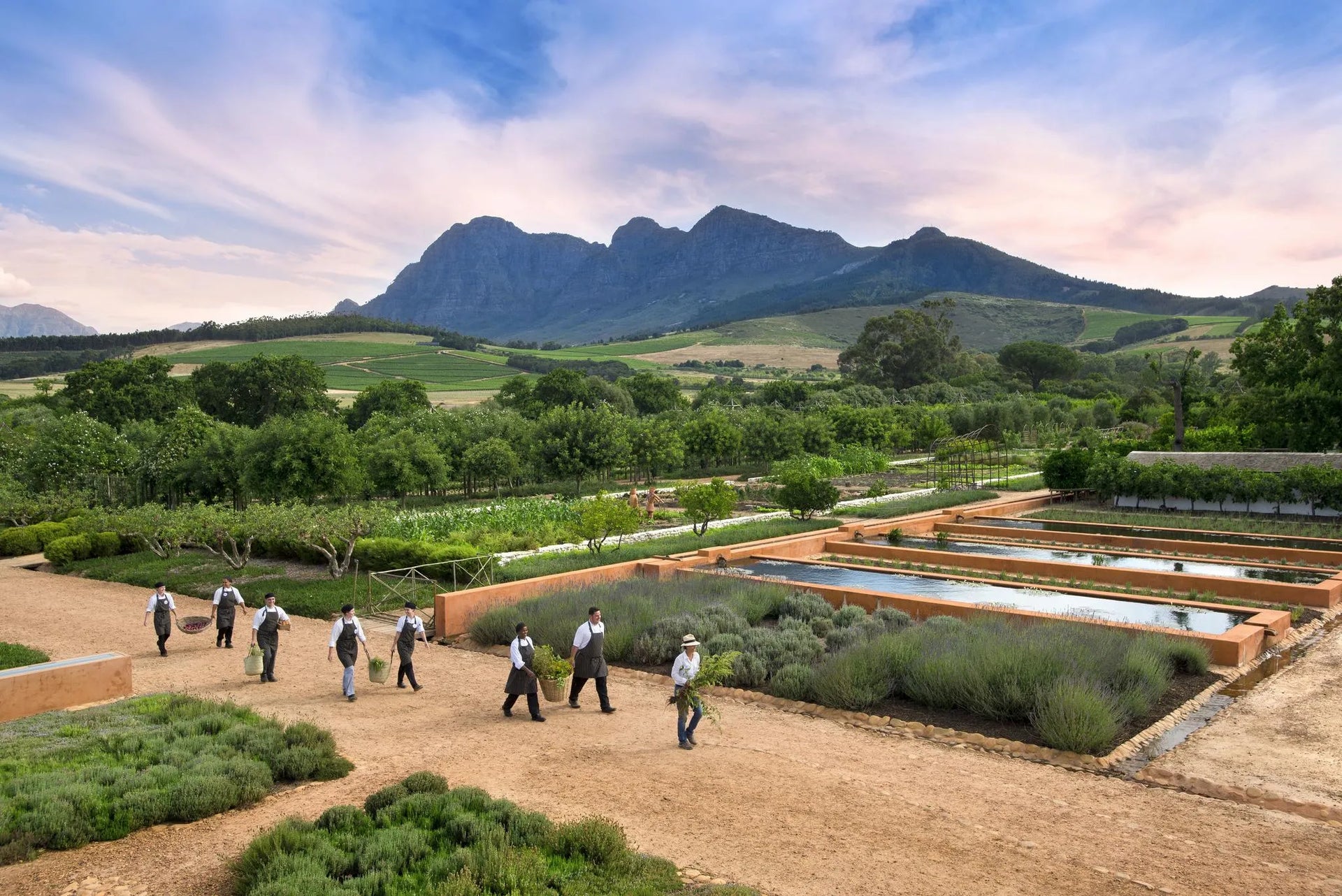 Babylonstoren chefs in the garden at Babylonstoren Farm Hotel, Franschhoek, South Africa.