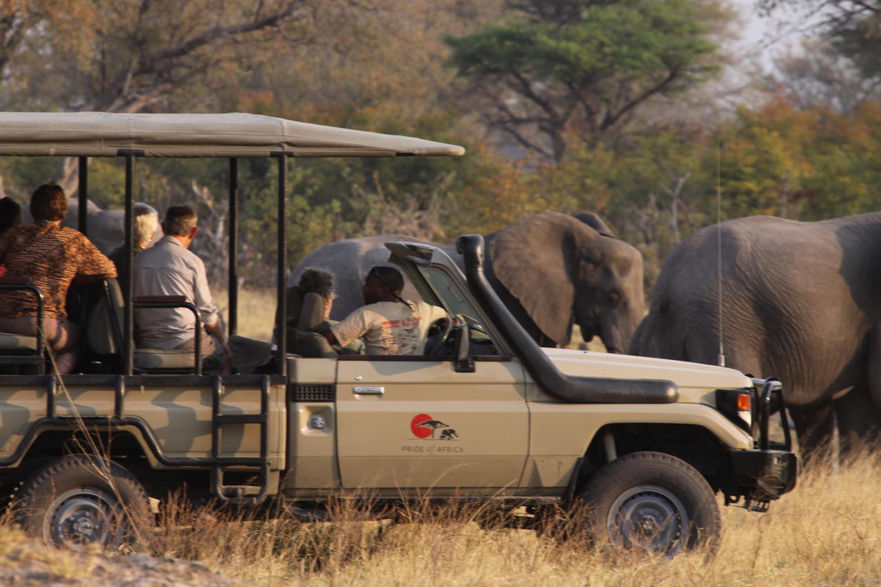Pride of Africa Safaris Khwai