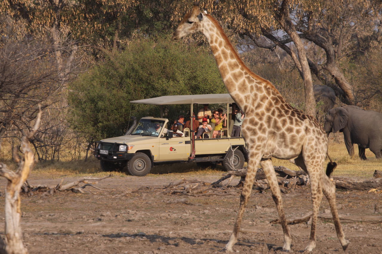 Pride of Africa Safaris Magkadigkadi